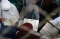 Tadarus Al Quran Warha...