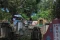 Potret Puncak Tradisi...