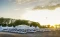 50 Unit Wuling Air ev...