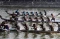 Lomba Dayung Perahu...