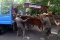 Penertiban PKL di Kawasan...