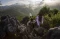 Menjelajahi Situs Geopark...
