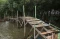 Ekowisata Mangrove di...