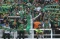Laga Uji Coba, Persebaya...
