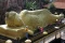 Pencucian Patung Buddha...