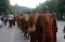 Biksu Peserta Ritual...
