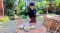 Berlaris Kopi dan Resto,...