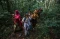 Kirab Sedekah Hutan...