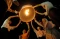 Festival Lampion Waisak...