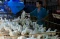 Harga Ayam Potong di...