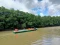 Wisata Hutan Mangrove...