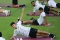 Intip Persiapan Timnas...