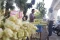 Penjual Ketupat Mulai...