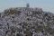 Suasana Jabal Rahmah...