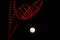 Melihat Fenomena Supermoon...
