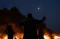 Mengenang Tragedi Karbala,...