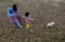 Terdampak El Nino, Sawah...