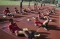 Persiapan Garuda Muda...