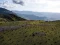 Pesona Wisata Padang...