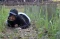 Keseruan Outbound Siswa...