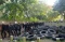 Keseruan Outbound Siswa...