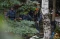 Bos Wagner Yevgeny Prigozhin...