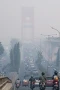 Kabut Asap Pekat Sesaki...