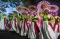 Pertunjukan Fiesta Folklore...
