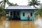 Banjir Setinggi 1,5...