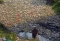 Sampah Menumpuk di Sungai...