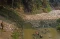 Sampah Menumpuk di Sungai...