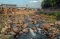 Penampakan Air Sungai...