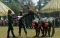 Defile Pasukan dan Alutsista...