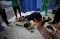 Biadab! Israel Bombardir...