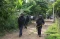 Sadis! Belasan Polisi...