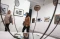Mengunjungi Pameran...