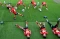 Latihan Timnas Polandia...