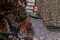 Pelestarian Batik Gentongan...