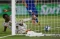 Piala Dunia U-17: Hattrick...