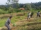 Peringati HUT Ke-15,...