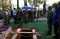 60 Tentara Israel Tewas...