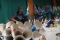 Penjual Terompet Musiman...