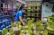 Beli Gas LPG 3 Kg Wajib...