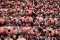 Ritual Magh Mela, Pemandian...