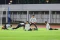Latihan Timnas Indonesia...