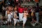 Jalani Ritual Swasthani...