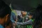 Potret Blusukan Capres...
