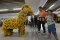 Pertunjukan Barongsai...