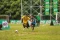 MILO National Championship...