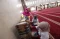 Gerakan Masjid Bersih...